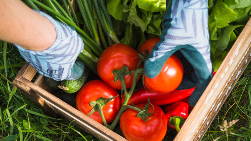 Taking foods on basket made easier