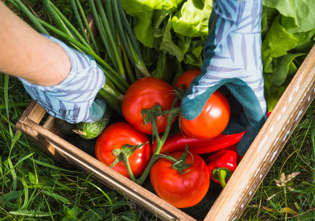 Taking foods on basket made easier